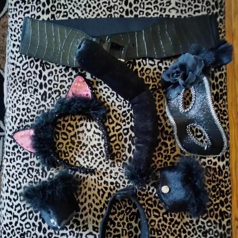 Cat woman costume